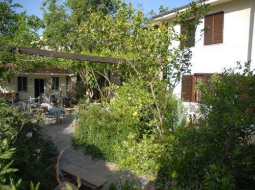 Hotel Misafir Evi Kayakoy Exterior foto